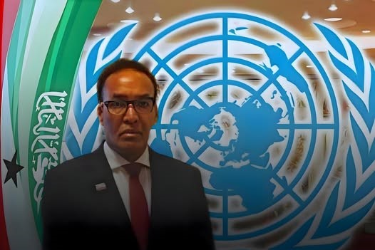 “Golaha Ammaanka ee Qaramada Midoobay ma beddeli karo go’aanka aqoonsi ee Somaliland” – Xukuumadda Somaliland