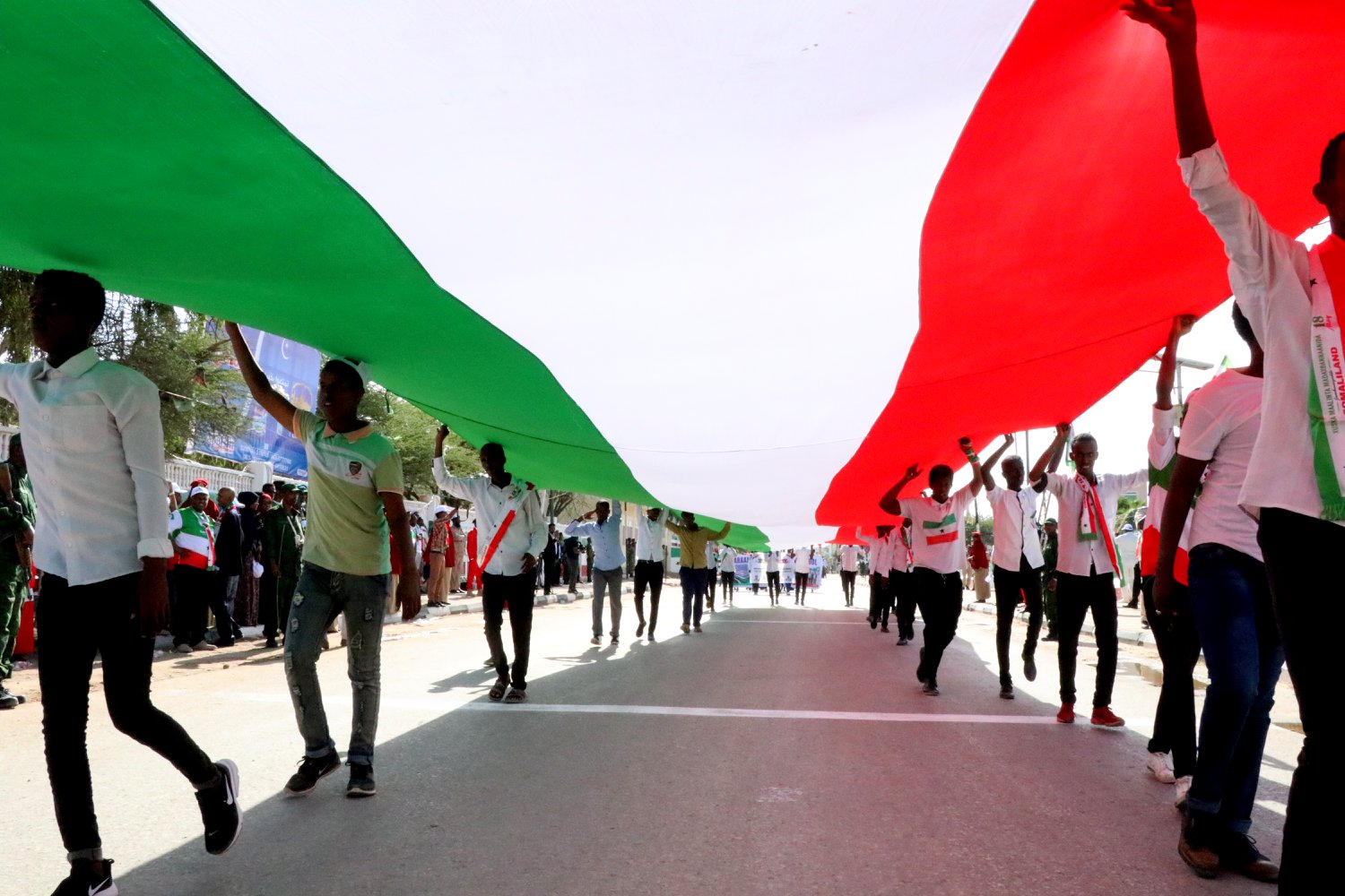 The Case of Somaliland: National Goals, Resources, and Instruments