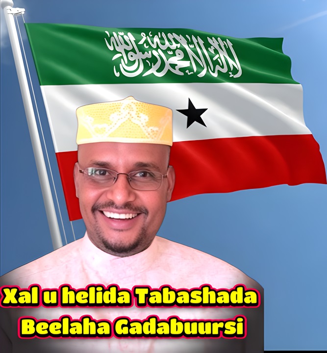 Dhambaal Furan oo ku socda Madaxweynaha Jamhuuriyadda Somaliland