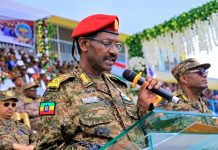 Ethiopia’s New Armed Alliance and the Growing Shadow of Egypt, Sudan and Eritrea Ethiopian Army Chief Field Marshal Birhanu Jula speaking about the country’s security situation and regional tensions
