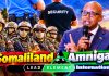 Somaliland: Questions surrounding Lead Element International’s return and Its Russian arms plan Lead Element International is a private security and risk-management company that operates as part of the Lead Element Security Group, a London-based security group. The company has offices or